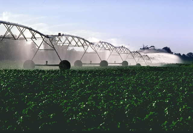 cotton_irrigation.png